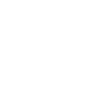 Category icon 1
