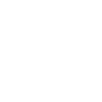 Category icon 4